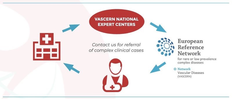 Grafik 1 VasCERN